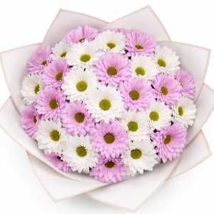 Mor ve Beyaz Papatya Buketi