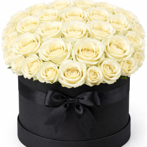 Kutuda Beyaz Güller