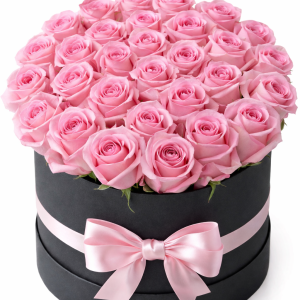 Kutuda Pembe Güller