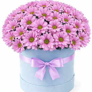 Kutuda Pembe Papatya Aranjmanı