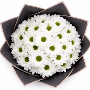 Beyaz Papatya Buketi