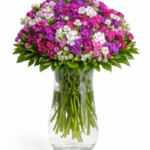 Vazoda Hüsnüyusuflar