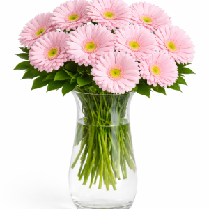 Vazoda Pembe Gerberalar