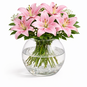 Akvaryum Vazoda Pembe Lilyumlar